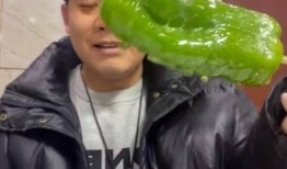 网红zls吃瓜视频,揭秘娱乐圈幕后真相