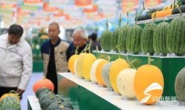 新瓜最新爆料潍坊,揭秘背后惊人真相