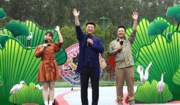 宜宾岚庭爆料最新消息视频,揭秘神秘事件真相